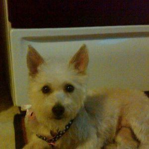 Meet your Posher, Lillian